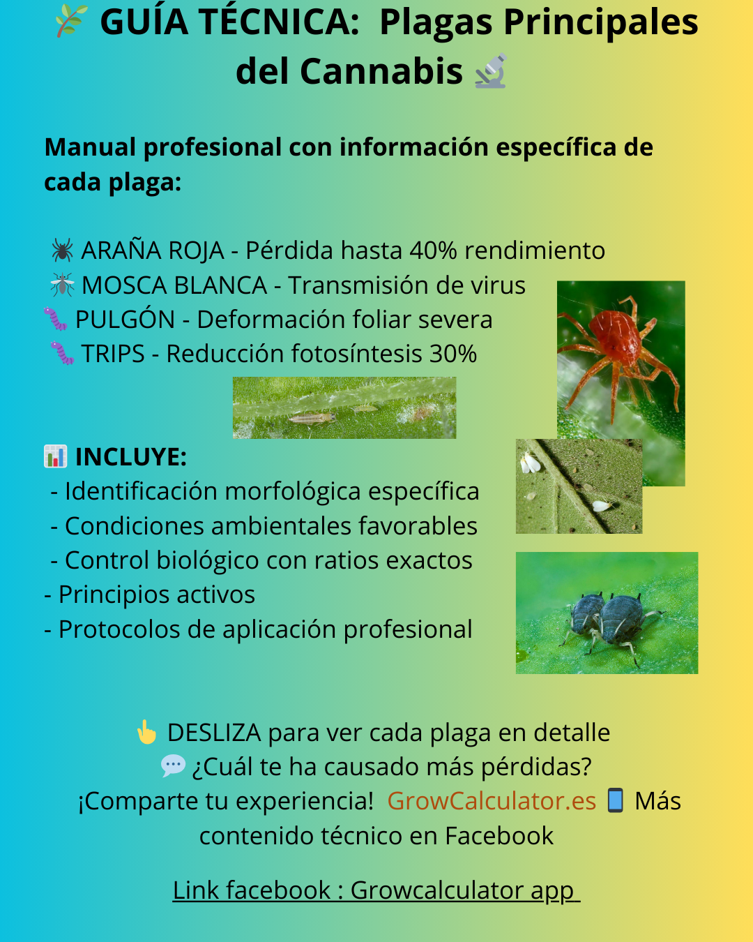 Plaga 1
